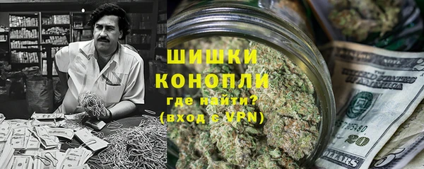 прущие грибы Нягань